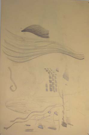 HPIM0836